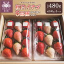 【ふるさと納税】 いちご 紅白いちご 先行予約 食べ比べ セット ギフト 贈答 プレゼント 採れたて フルーツ 6品種 約240g×2パック 冷蔵 フルーツ王国...