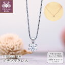 【ふるさと納税】< 甲府ジュエリー > ネックレス ペンダント プチ ジュエリー レディース アクセサリー 天然 ダイヤモンド 0.2ctUP プラチナ エレガ...