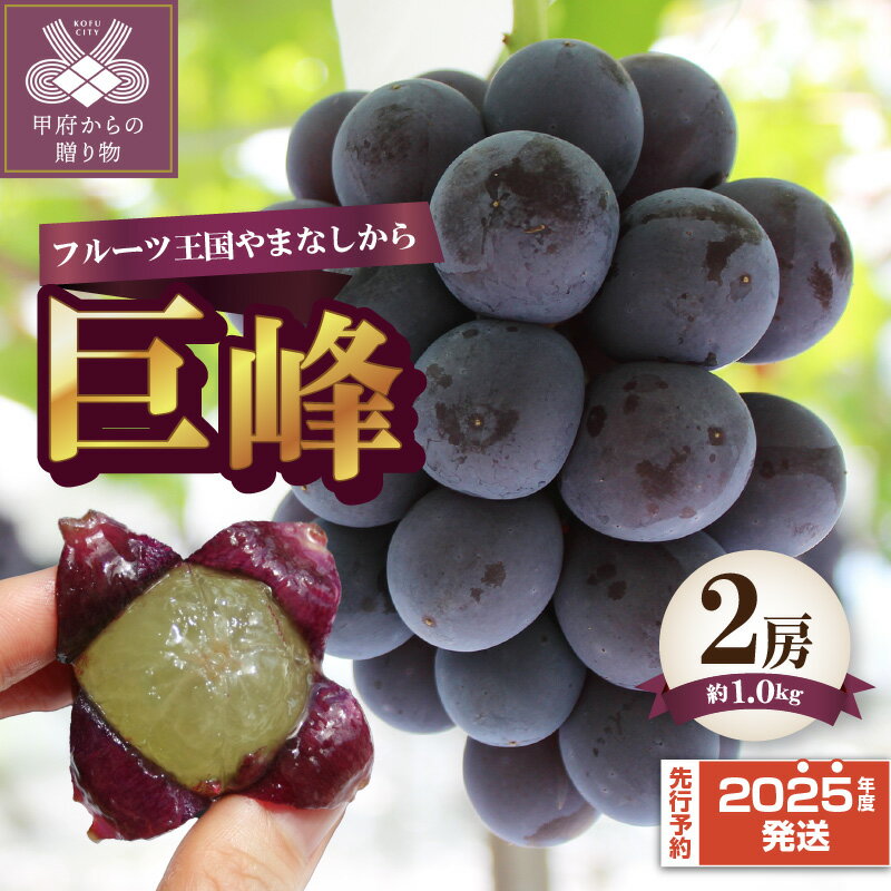 【ふるさと納税】 巨峰 2025年 先行予約 2房 約1.0kg 山梨県産 甲府市産 ぶどう フルーツ 果物 冷蔵 大粒 甘い 贈り物 お中元 贈答品 手土産 フルーツ王国山梨 数量限定 期間限定 2025年度配送分 k330-003のサムネイル