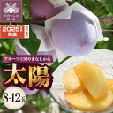 【ふるさと納税】 希少品種 すもも 太陽 8〜12玉 2025年度配送分 先行予約 数量限定 期間限定 フルーツ 果物 冷蔵 甘味 適度な酸味 贈り物 お中元 ...