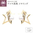 【ふるさと納税】< 甲府ジュエリー > イヤリング ジュエリー レディース アクセサリー アコヤ 真珠 パール K10 イエローゴールド 星 シンプル 上質 ギ...