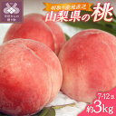 【ふるさと納税】 桃 ピーチ 山梨県産 甲府市産 3kg 7~12個 もぎたて 朝取り 産地直送 冷蔵 2025年6月下旬~8月中旬順次発送 期間限定 数量限定 k346-002