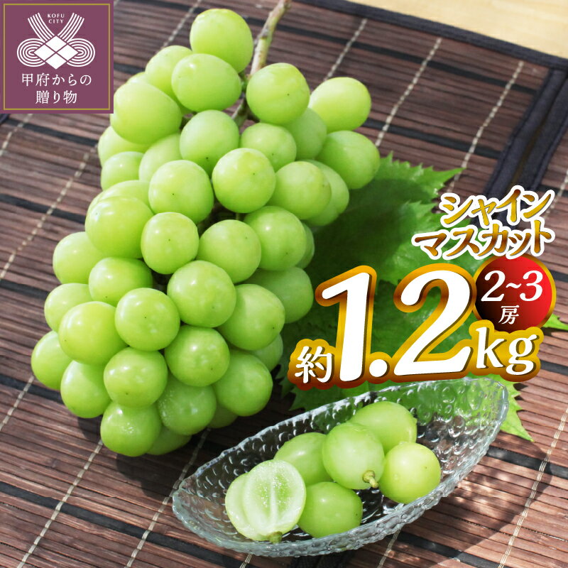 【ふるさと納税】 シャインマスカット 約1.2kg（2〜3房） ぶどう フルーツ 果物 旬 甲府市産 産地直送 こだわり 冷蔵 数量限定 期間限定 2025年8月中旬〜10月中旬順次発送 k346-008のサムネイル