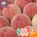 【ふるさと納税】 桃 ピーチ 訳あり 山梨県産 甲府市産 約2kg 4〜7個 もぎたて 家庭用 冷蔵 2025年6月下旬〜8月下旬順次発送 期間限定 数量限定 ...