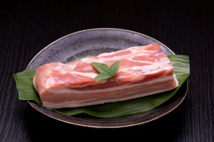 豚肉 熟成肉 富士桜ポーク 牛丼 カレー 肉じゃが 炒めもの 熟成甲州富士桜ポークバラブロック500g 送料無料