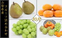 【ふるさと納税】【10月発送】山梨県産 フルーツ 果物 詰め...