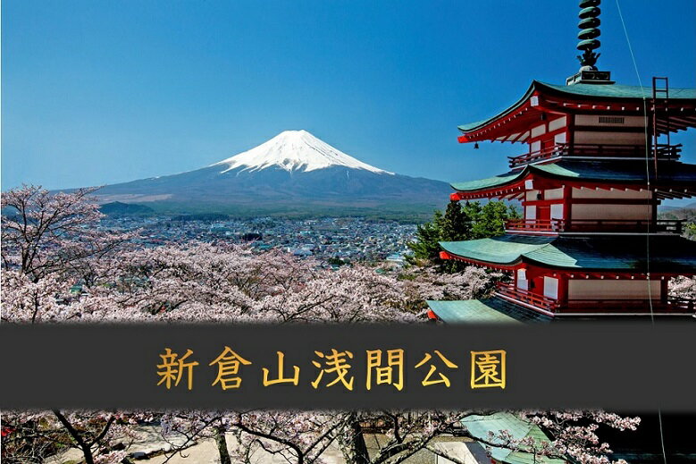 【ふるさと納税】 旅行 観光 チケット タクシー 富士吉田市 おもてなし 2時間 コース チケット 利用券 優待券 世界文化遺産 金運 ご利益 神社 吉田のうどんその2