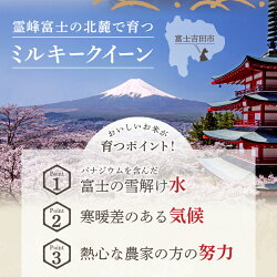 【ふるさと納税】 米 ミルキークイーン 白米 令和4年 令和5年 2.3kg 2.3kg×2 5kg 5kg×2 選べる容量 富士吉田産 画像2