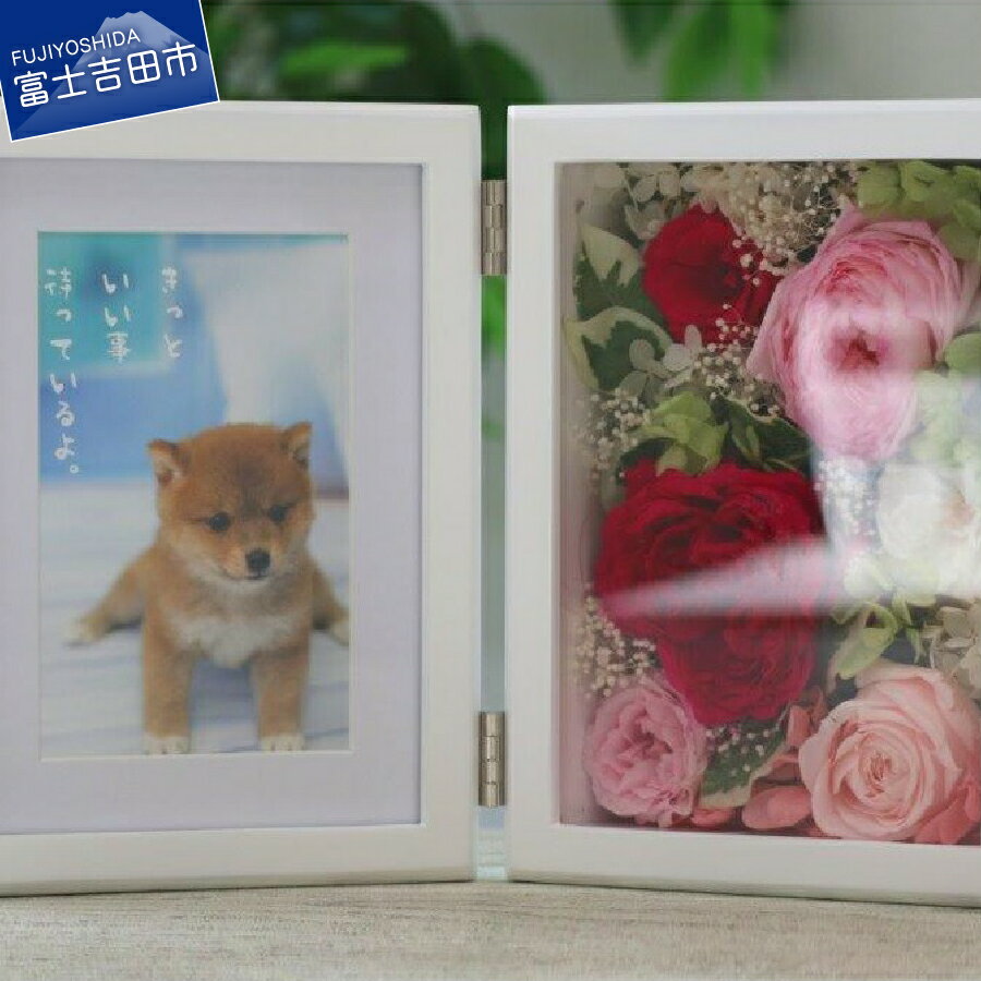 ڤդ뤵Ǽǡ  ե   襤 ץꥶ֥ɥե եȥե졼 ̿ ۥ磻 