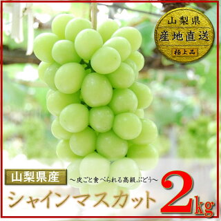 果物 フルーツ編 楽天ふるさと納税 人気のおすすめ高還元返礼品まとめ ためぶろぐ 果物 フルーツ編 楽天ふるさと納税 人気のおすすめ高還元返礼品まとめ ためぶろぐ