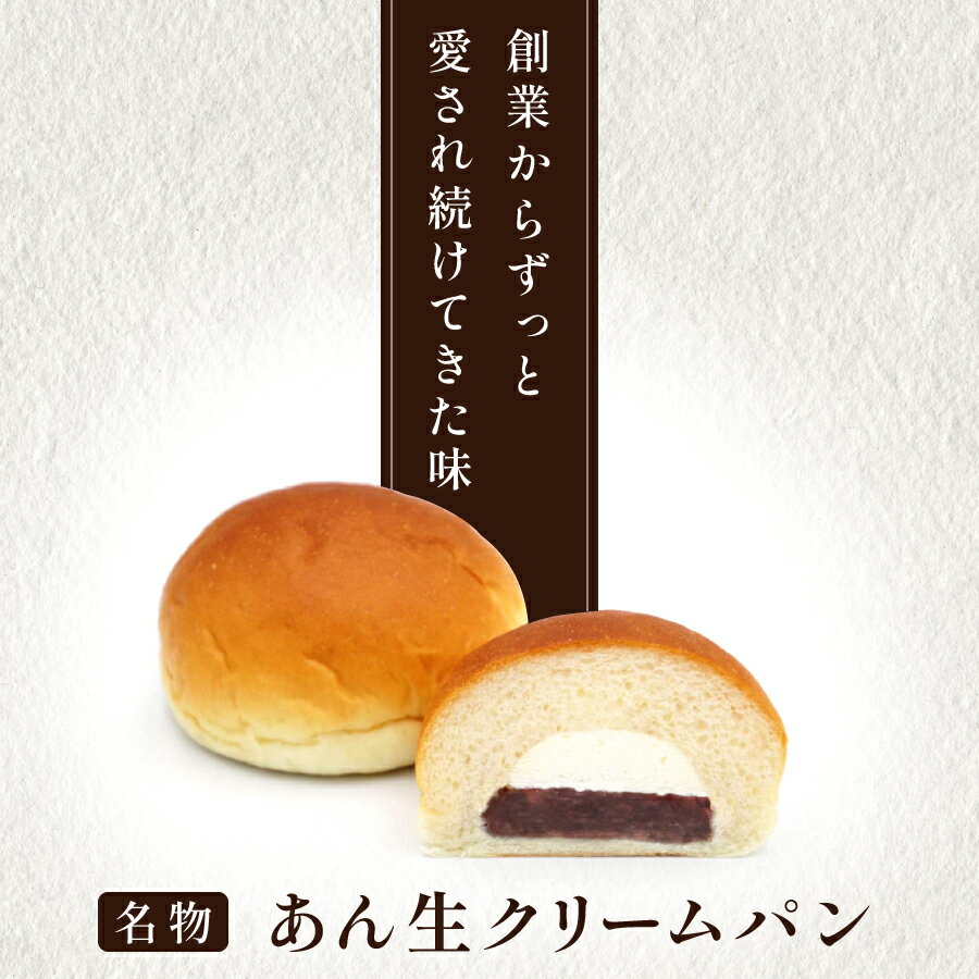 【ふるさと納税】 パン あん生 あんぱん 12個 6個 ギフトセット 配送回数 選べる 定期便 3か月 生クリーム 菓子 スイーツ 冷凍 プレゼント パンストック 冷凍パン 菓子パン おやつ 軽食 母の日 敬老の日 餡 あんパン あずき 小豆 化粧箱 贈答 箱入れ あん生クリームパン