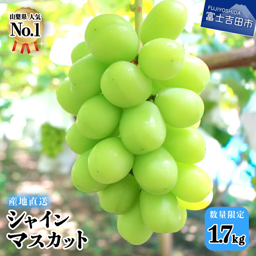 【ふるさと納税】 シャインマスカット 山梨 産地直送 大粒 1.7kg以上 3房 フルーツ 果物 ぶどう ブドウ 高級 朝採り 山梨県産のサムネイル