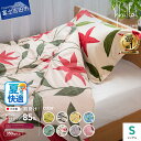 【ふるさと納税】 夏用 羽毛布団 掛け布団 ゴールドラベル シングル 【Sybilla】シビラ 日本製 肌掛け 洗える 選べる8柄 訳あり 羽毛2回洗浄 洗濯可...