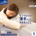 【ふるさと納税】 ≪すぐ届く≫ 羽毛布団 肌掛け シングル 軽い 冬 暖かい ループ付 羽毛ふとん 掛け布団 抗菌 防臭 防ダニ グレー 軽量 日本製 国産 清...