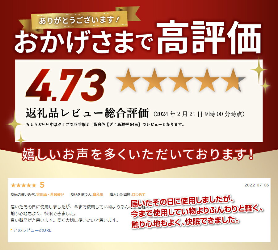 【ふるさと納税】羽毛布団 掛け布団 シングル 中厚 日本製 オールシーズン 抗菌 防臭 防ダニ サテン織り ハンガリー産ホワイトダックダウン93％ 収納袋 藍白色 布団 寝具 国産【ダニ忌避率84％】