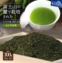 【ふるさと納税】 お茶 茶葉 緑茶 深蒸し煎茶 150g入 2袋 セット プレゼント チャック付袋 国産【ふじやま茶】