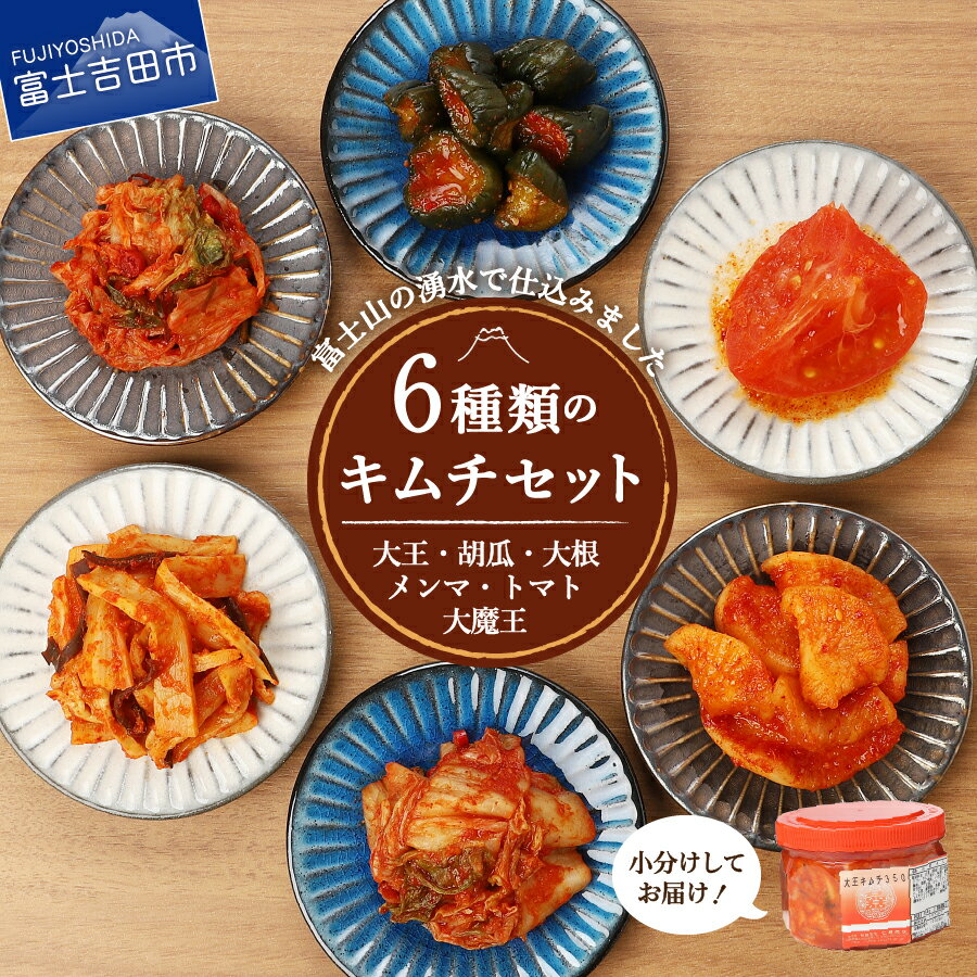 キムチ 詰め合わせ 6種類 キムチ彩りセット 食べ比べ セット 白菜キムチ カクテキ オイキムチ メンマキムチ トマト 大魔王キムチ 大根 胡瓜 きゅうり 人気 新鮮 うまみ レギュラーセット