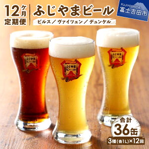 【ふるさと納税】 定期便 毎月お届け 地ビール クラフトビール 飲み比べ 1L 3種類セット ピルス...
