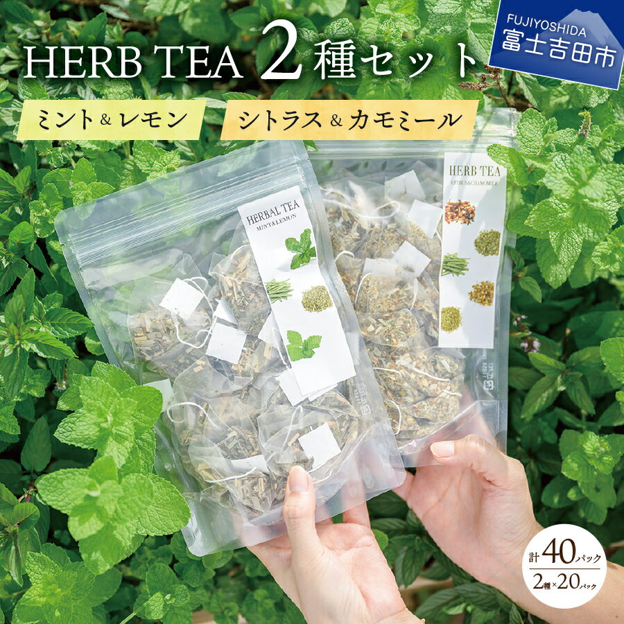 26位! 口コミ数「3件」評価「5」 ハーブティー TEA 詰め合わせ 2種 セット 無農薬 ミント レモン シトラス カモミール 天然素材 自然栽培 茶葉 グリーンティー ハ･･･ 