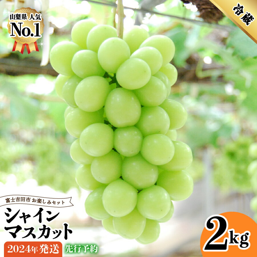 【ふるさと納税】2024年 先行予約 シャインマスカット2kg 3〜5房 山梨 果物 フルーツ 山梨県産 高級 ブドウ 富士吉田市 山梨県【2024年8月下旬以降発送】のサムネイル