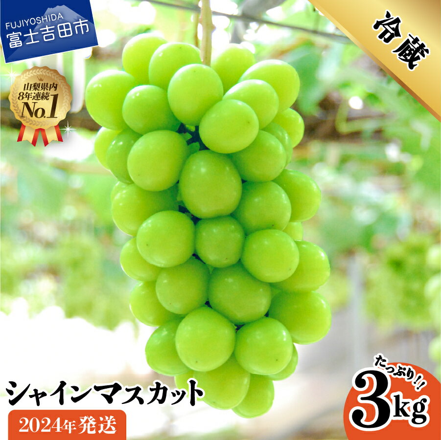 【ふるさと納税】 シャインマスカット 山梨 先行予約 2023 2kg 超え 3kg 大粒 フルーツ ブドウ 高級 ぶどう 葡萄 果物 くだもの 山梨県 富士吉田市 【2023年8月下旬以降発送】のサムネイル