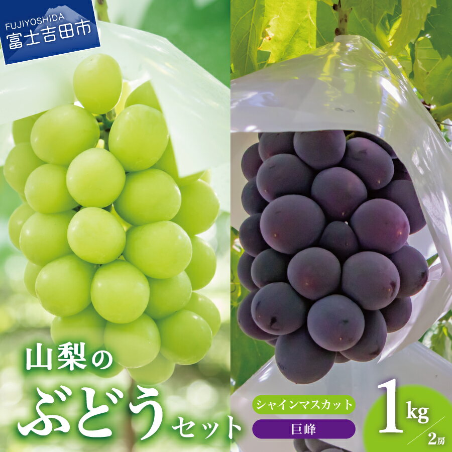 【ふるさと納税】 シャインマスカット 巨峰 セット 山梨 先行予約 数量限定 産地直送 約1kg 計2房 山梨県産 フルーツ 果物 ぶどう 葡萄のサムネイル