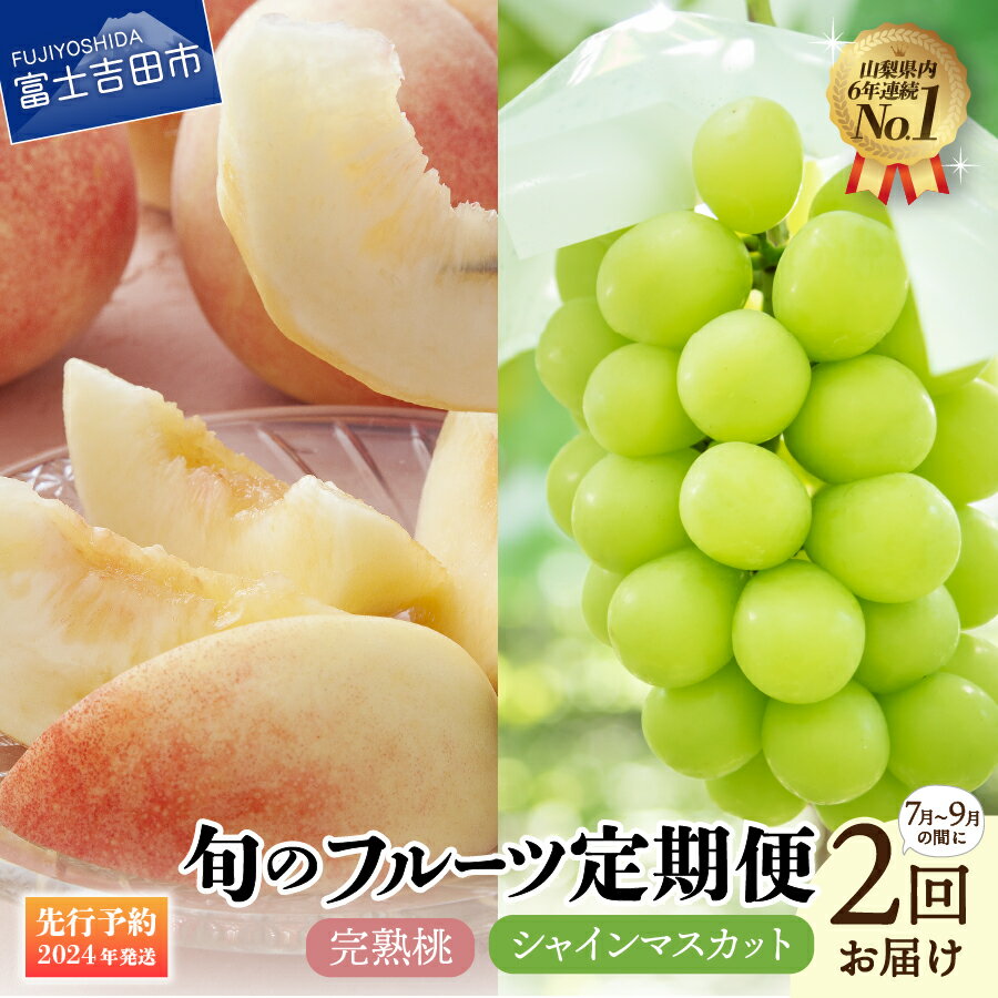 【ふるさと納税】 シャインマスカット 桃 フルーツセット 定期便 2回 産地直送 約2kg 2房 山梨県産 果物 ぶどう 完熟桃 マスカット 期間限定 フルーツ ギフトのサムネイル