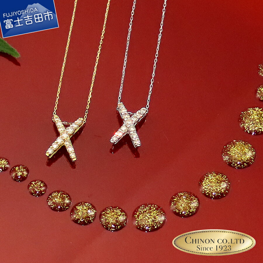 【ふるさと納税】 ネックレス ダイヤ ダイヤモンド Xスタイ