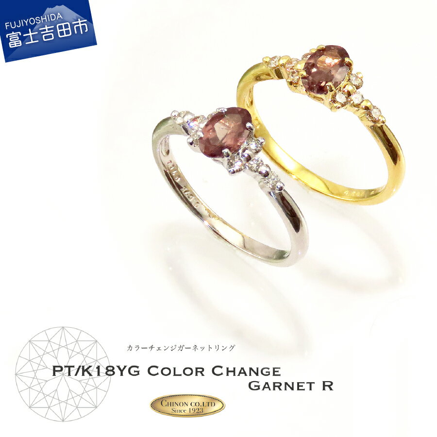 【ふるさと納税】 指輪 ダイヤモンド カラーチェンジガーネット リング ジュエリー アクセサリー プラチナ K18 イエローゴールド 18金 天然ダイヤモンド ...
