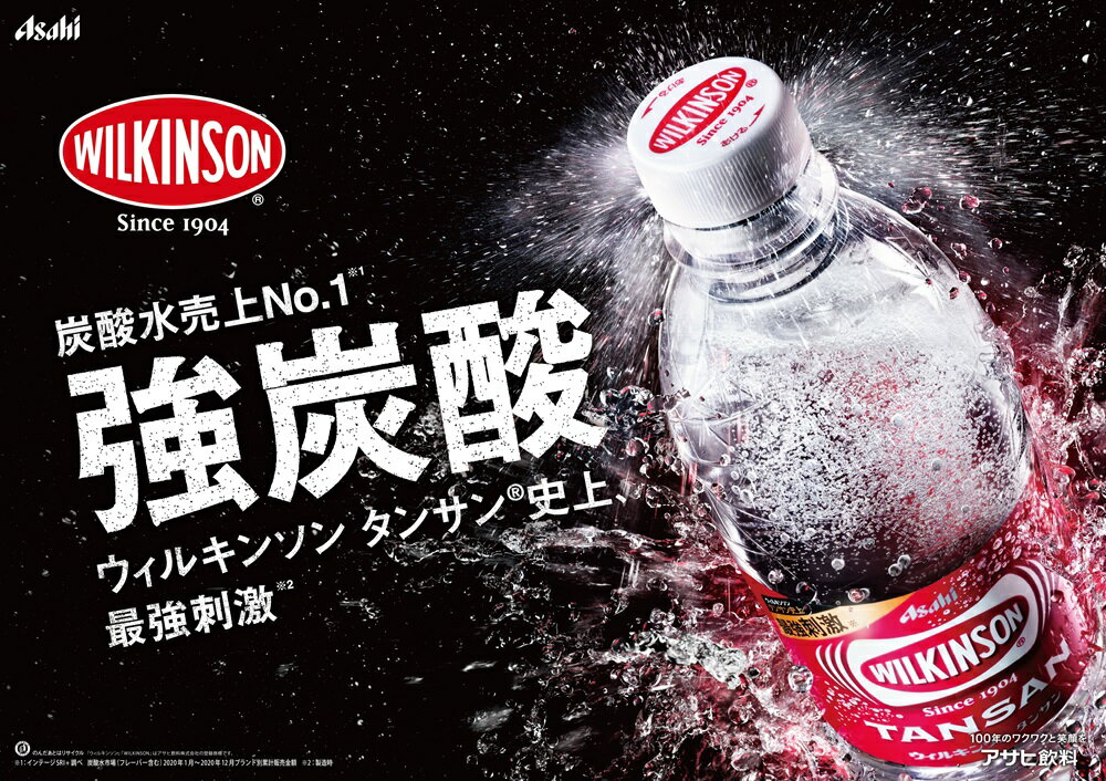 【ふるさと納税】 炭酸水 500ml 48本 ウィルキンソン タンサン PET500ml 2箱 強炭酸 炭酸飲料 炭酸 無糖 便利 飲料 飲み物 ドリンク ソーダ 割り材 ペットボトル アサヒ飲料 ふるさと納税 ランキング 寄附額改定