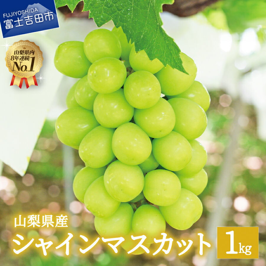 【ふるさと納税】 シャインマスカット 数量限定 2房 約1kg 山梨県産 ブドウ フルーツ 果物 マスカット ふどう 産地直送のサムネイル