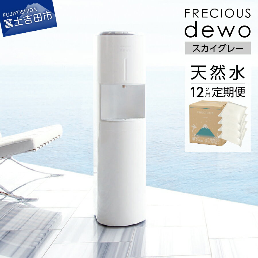 【ふるさと納税】 定期便 家電 水 天然水 12回 ウォーターサーバー dewo スカイグレー 電化製品 家電製品 飲料