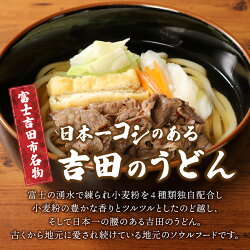 【ふるさと納税】 うどん 冷凍 吉田のうどん 計6人前 肉うどん 冷やしうどん つゆ付 郷土料理 麺 ご当地 特産品 プロトン凍結 シールド乳酸菌 画像1