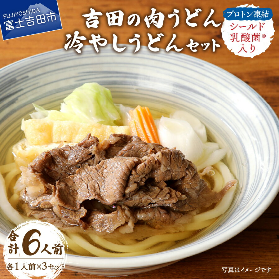 【ふるさと納税】 うどん 冷凍 吉田のうどん 計6人前 肉うどん 冷やしうどん つゆ付 郷土料理 麺 ご当地 特産品 プロトン凍結 シールド乳酸菌