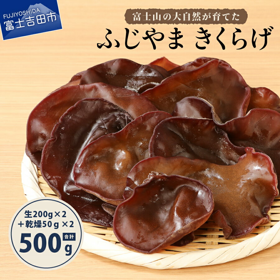 【ふるさと納税】 国産 きくらげ 木耳 鉄分 生 乾燥 きのこ 富士山 ふじやま キクラゲ 生きくらげ 200g×2 乾燥きくらげ 50g×2 有機JAS オー...