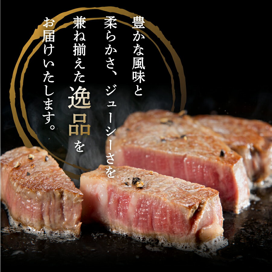 【ふるさと納税】 800g ステーキ 牛肉 ビーフ サーロイン ヒレ 山梨県産 富士山麓牛 セット キャンプ 肉 おかず ステーキ ヒレ