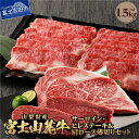 【ふるさと納税】 BBQ ステーキ 牛肉