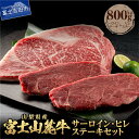 【ふるさと納税】 800g ステーキ 牛肉 ビーフ サーロイン ヒレ 山梨県産 富士山麓牛 セット キャンプ 肉 おかず ステーキ ヒレ