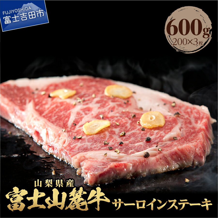 【ふるさと納税】 肉 600g 富士山麓牛 サーロインステーキ 山梨県産 キャンプ おかず セット