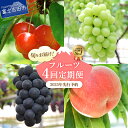 【ふるさと納税】 フルーツ 定期便 4回 数量限定 シャインマスカット もも さくらんぼ 黒ぶどう 果物 くだもの お届け 期間限定 6月〜9月 発送 冷蔵 ギ...