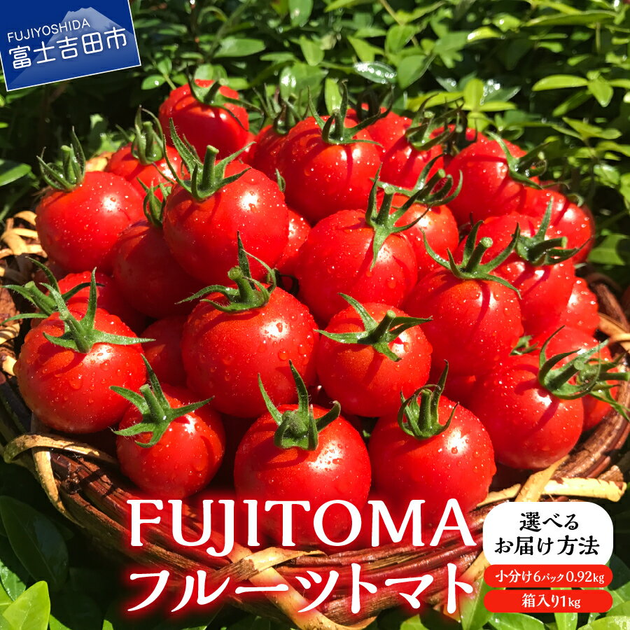 【ふるさと納税】 トマト 野菜 選べる 配送月 発送時期が選べる フルーツトマト 「FUJITOMA」 ボックスセット 1kg