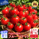 【ふるさと納税】 『ぐるナイ』にて紹介 フルーツトマト 「FUJITOMA」 ふるさと納税 とまと トマト ミニトマト 野菜 ふるさと納税 人気 新鮮 甘い 完...