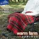 【ふるさと納税】 ブランケット ひざ掛け ウール 暖かい 発熱 アウトドア キャンプ 男女兼用 レディース メンズ 大判ストール リバーシブル ハーフブランケッ...