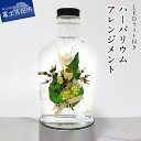 【ふるさと納税】 ハーバリウム アレンジメント インテリア 花 ミニ ブーケ スタイリッシュ ウイスキーボトル 母の日 プレゼント ギフト 【LEDライト付】 ...