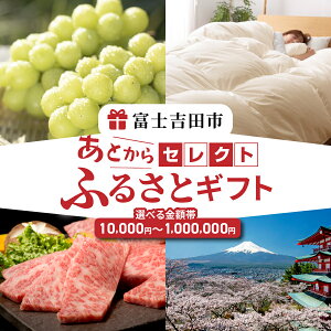 【ふるさと納税】 宿泊券 旅行 チケット あとからセレクト 【ふるさとギフト】 寄附1万円～100万円相当 あとから選べる ギフト フルーツ 布団 炭酸水 肉 お米 魚 日用品 ジュエリー 腕時計 お酒 スイーツ シャインマスカット 果物 さくらんぼ すき焼き 化粧品 肉 優待券