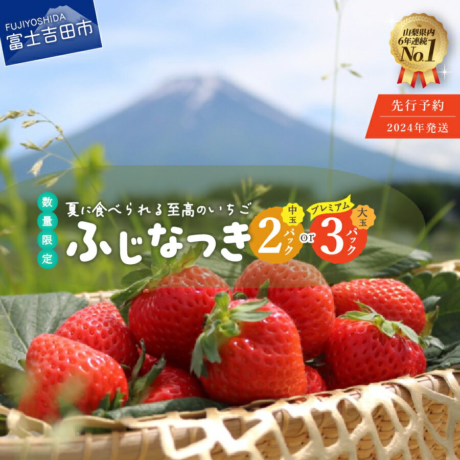 先行予約 2024年発送 [数量限定!夏いちご] イチゴ 夏いちご 富士夏媛 ふじなつき 選べる内容量 中玉 180g×2パック 大玉 200g×2パック 120g×1パック 糖度15度以上 数量限定 期間限定 フルーツ くだもの 果物 いちご 富士吉田