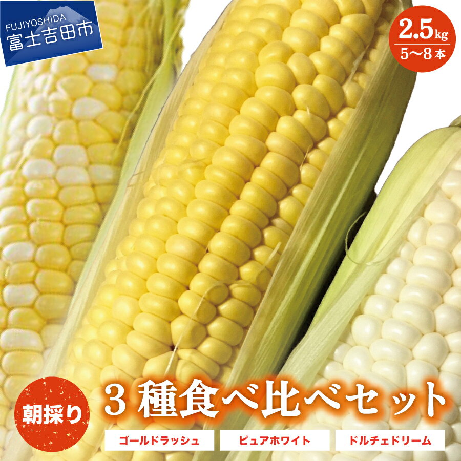 【ふるさと納税】 とうもろこし 産地直送 2.5kg 5~8本 食べ比べ セット 山梨県産 朝採り 甘い 新鮮 トウモロコシ ゴールドラッシュ ピュアホワイト ドルチェドリーム コーン 山梨 数量限定 8月配送予定 ※配送不可地域あり※･･･