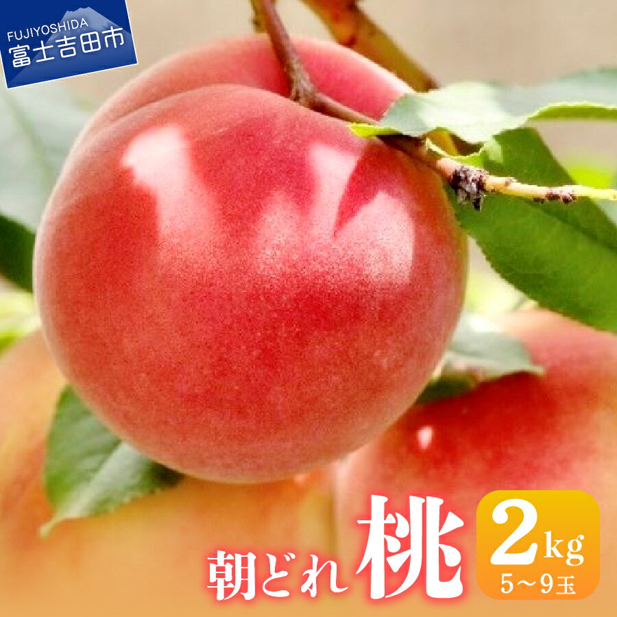 【ふるさと納税】 桃 山梨 朝どれ もも 2kg 5玉〜9玉 くだもの フルーツ 山梨県 産地直送 モモのサムネイル