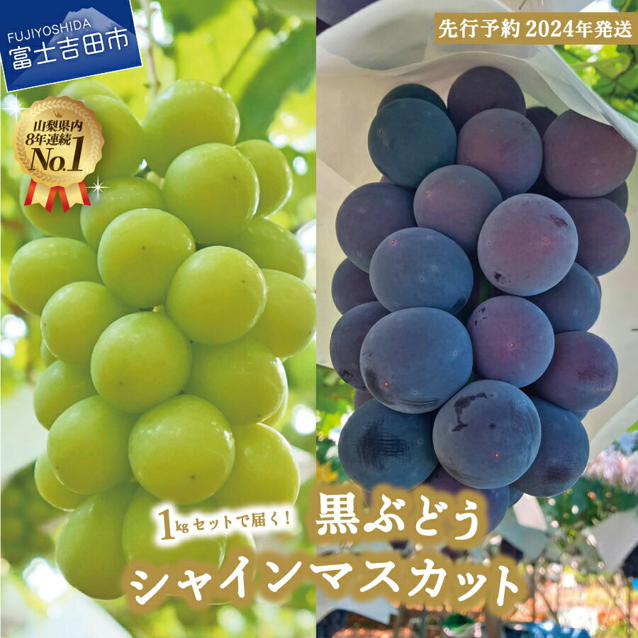 【ふるさと納税】 シャインマスカット 黒ぶどう 約1kg 巨峰 セット 2種 食べ比べ 山梨県産 富士吉田市 フルーツ ぶどう 富士吉田 果物 厳選 産地直送 先行予約 数量限定 2024年 先行予約