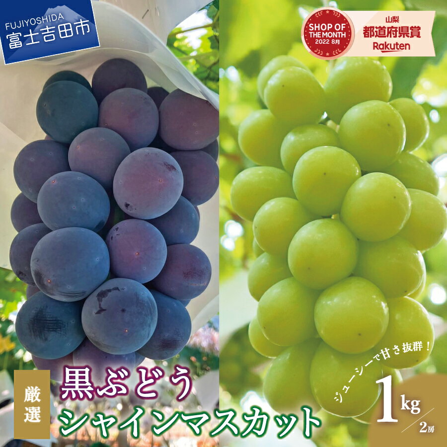 【ふるさと納税】 シャインマスカット 黒ぶどう 巨峰 セット 山梨県産 計約1kg フルーツ ぶどう 2種 食べ比べ 果物 厳選 産地直送 先行予約 数量限定･･･